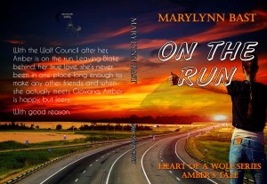 ON THE RUN BOOK COVER