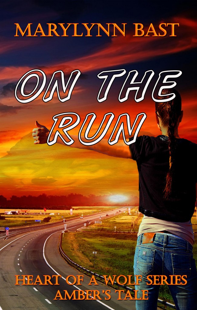 On the Run Front Cover