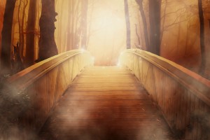 fantasy bridge