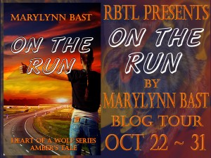 On The Run Blog Tour Banner copy