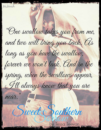 Sweet Southern Sorrow 8829129