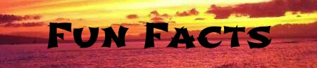 aloha_fun_facts