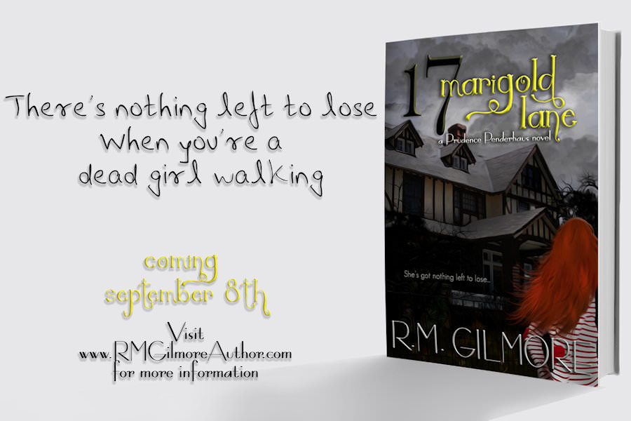 17 Marigold Lane promo 1