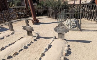 Scavenger Hunt at Knotts Berry Farm